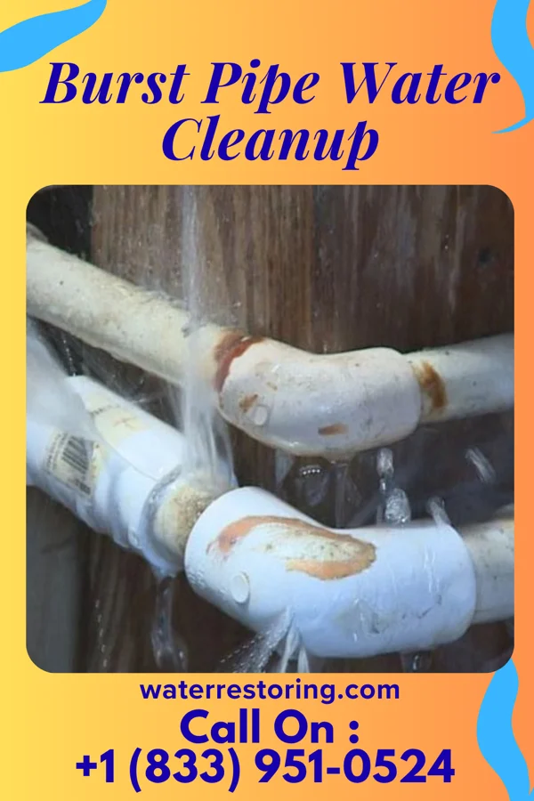 Burst Pipe Water Cleanup in Waldron, MI