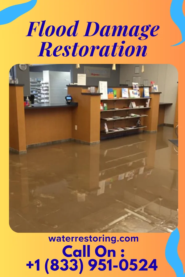 Flood Damage Restoration in Waldron, MI